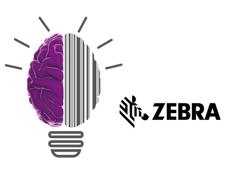 Morining Tech Focus on Zebra